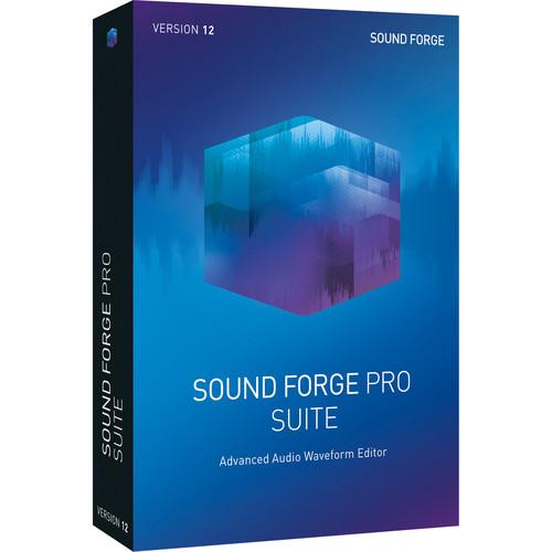MAGIX Entertainment Sound Forge Pro 12 Suite - Audio Waveform Editing Software