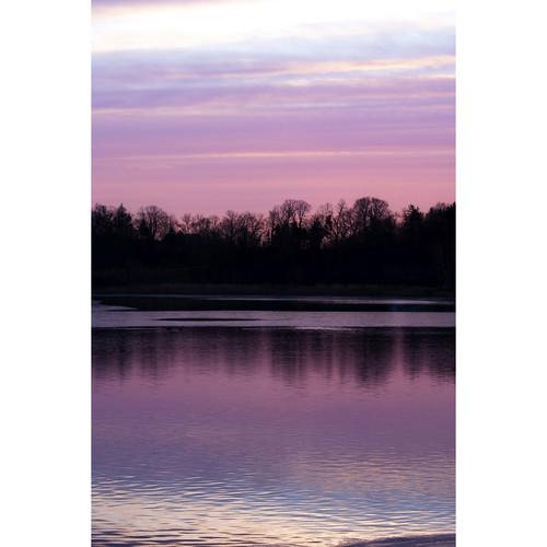 Savage Lavender Lake View Printed Vinyl Backdrop