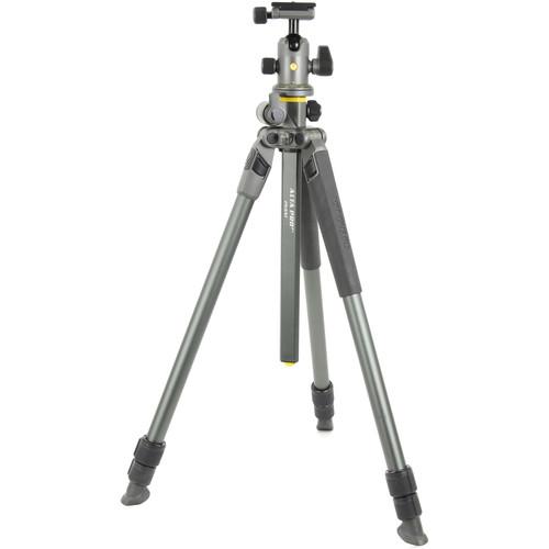 Vanguard Alta Pro 2 263AB100 Aluminum-Alloy Tripod Kit with Alta BH-100 Ball Head