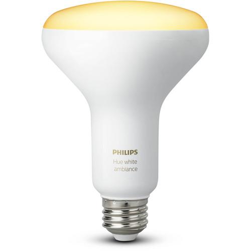 Philips Hue BR30 Bulb