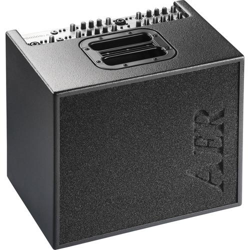 AER Domino 2A 100W 2x8 Acoustic Guitar Combo Amplifier