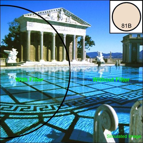 Tiffen 4 x 6" 81B Light Balancing Filter