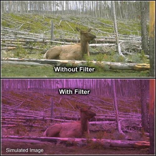 Formatt Hitech Solid Plum Filter