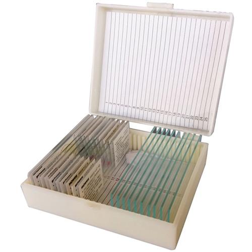 Konus #4986 Biology 2 Slide Set: Animal Cells and Tissue