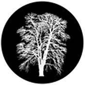 Rosco Standard Black and White Glass Spectrum Gobo #81179 Barren Inverted