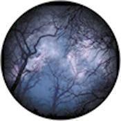 Rosco Standard Color Glass Spectrum Gobo #86713 Cloud Branches 2