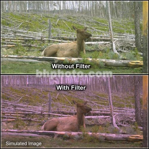 Tiffen 2 x 3" 1 Plum Hard-Edge Graduated Filter