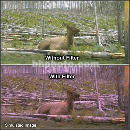 Tiffen 2 x 3" 1 Plum Soft-Edge Graduated Filter