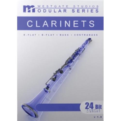 Big Fish Audio Clarinets Modular Series DVD