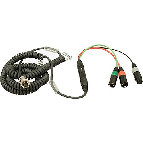 Ambient Recording Tajimi 12-Pin Male to 7-Pin XLR Male Coiled Breakaway Cable with Y-Cable