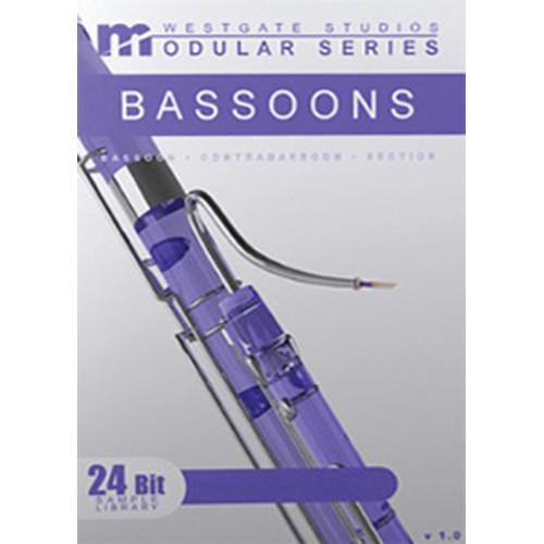 Big Fish Audio Bassoons Modular Series DVD