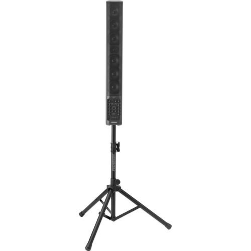 Fishman SA330x Performance Audio System