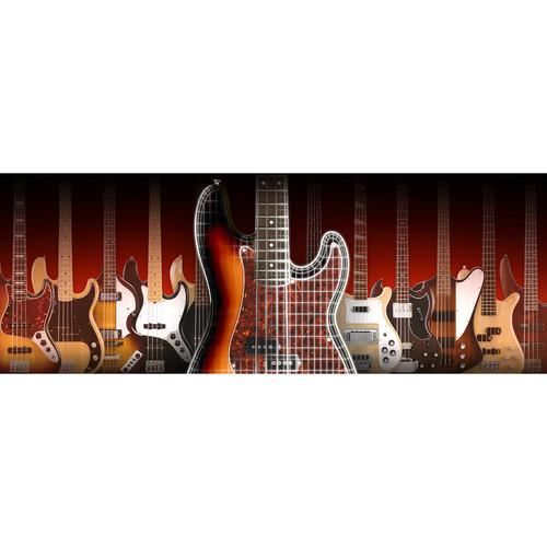 IK Multimedia MODO BASS - Electric Bass Virtual Instrument