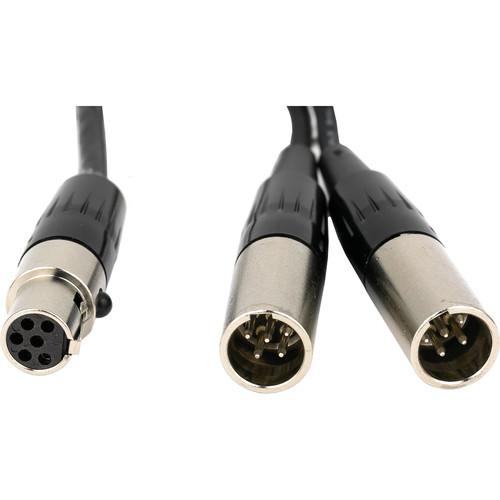 Lectrosonics Dual TA5M to TA6F Mic- Line-Level Cable for DCHT Transmitter
