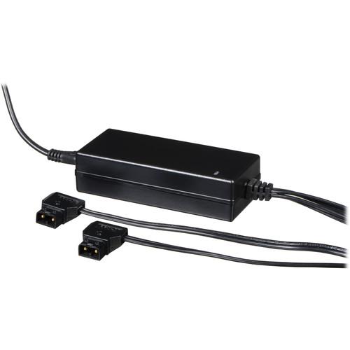 Core SWX SP-2LJ Two Position Charger