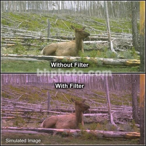 Tiffen 2 x 3" 1 Plum Soft-Edge Graduated Filter