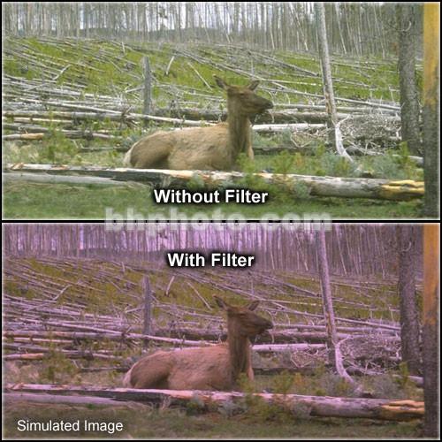 Tiffen 4 x 6" 1 Plum Soft-Edge Graduated Filter