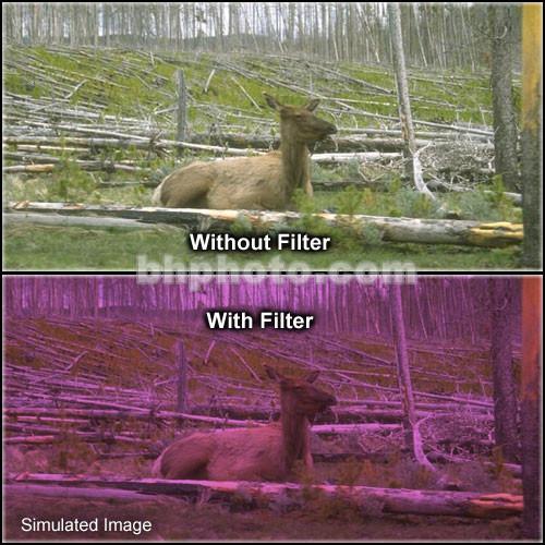 Tiffen 4 x 6" 2 Plum Hard-Edge Graduated Filter