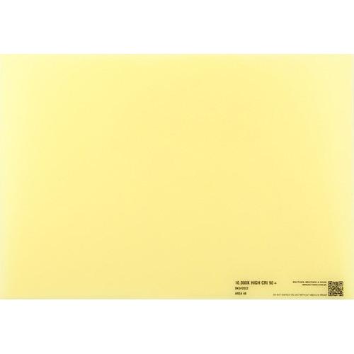 BB&S Lighting Interchangeable 10,000K Phosphor Panel for Area 48 LED Light