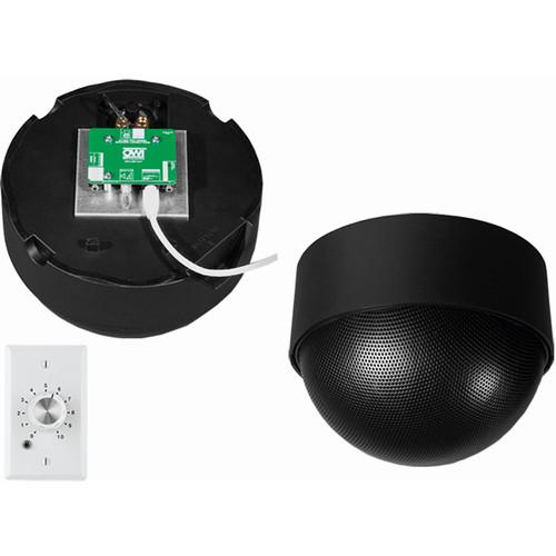 OWI Inc. 2 Each - Amp-Cat-Neptune Speaker with Ampstvc