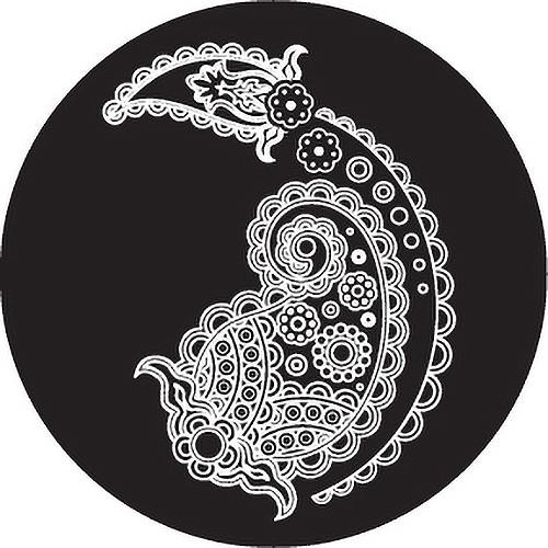 Rosco Paisley 9 B W Breakup Glass Gobo