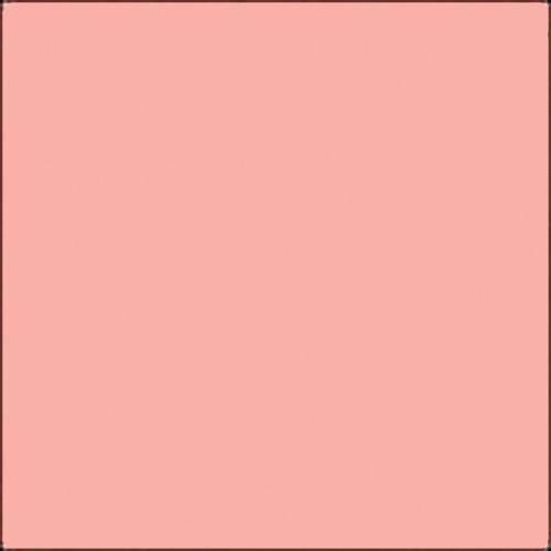 GAM GCJR305 GamColor French Rose Colored Cine Filter #305