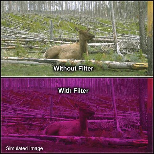 Formatt Hitech 95mm Solid Plum 3 Filter