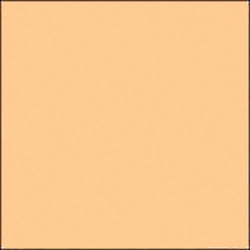 GAM GCJR365 GamColor Warm Straw Colored Cine Filter #365