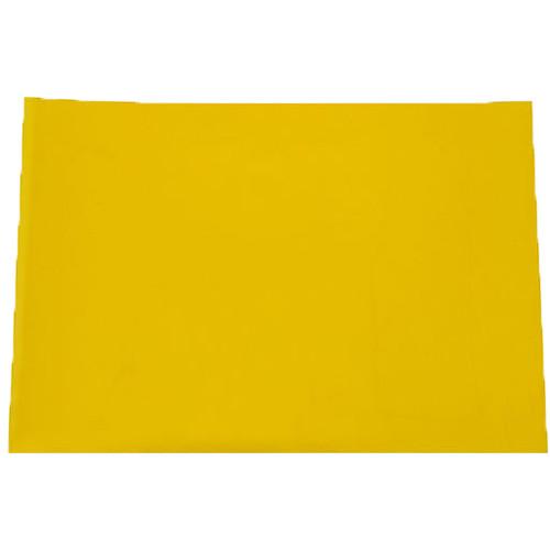 MakerBot Precut Kapton Tape for the MakerBot Replicator 2X Experimental 3D Printer