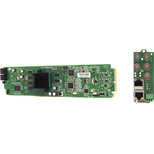 Apantac Cascadable Video Quad Splitter Card and RML Rear Module Set for openGear 3.0 Frame