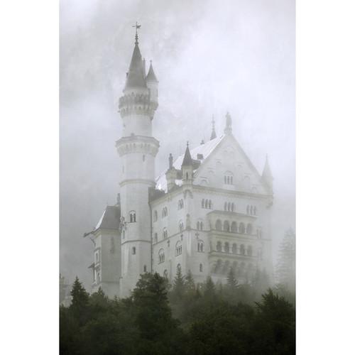 Savage Castle in the Fog Printed Vinyl Backdrop