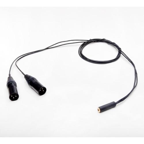 Microphone Madness 3.5mm Stereo Mini Female to Dual XLR Male Y-Cable