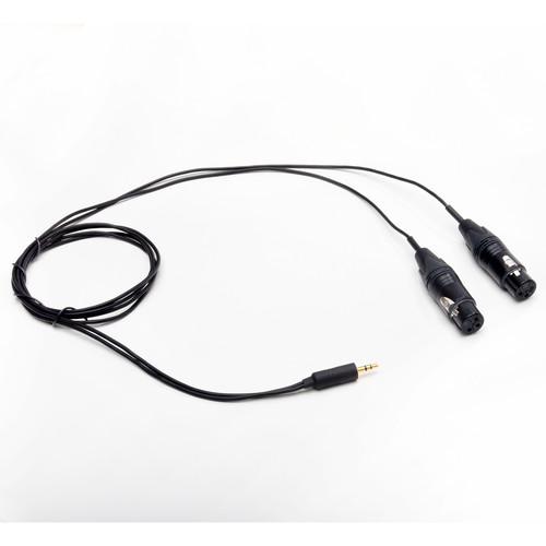 Microphone Madness Dual XLR Female to 3.5mm Stereo Mini Male Y-Cable