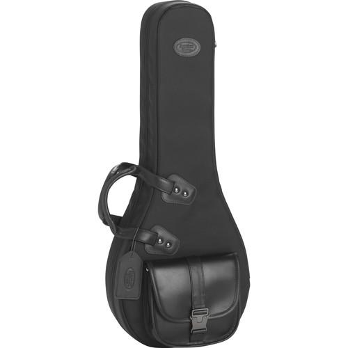 Reunion Blues A-Style Mandolin Bag