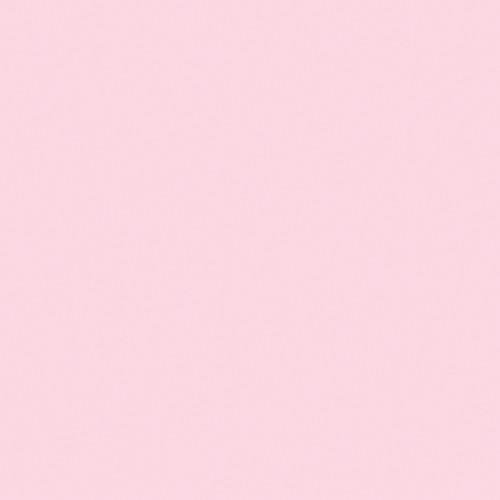 Rosco OPTI-FLECS 1 4 Minus Green Filter