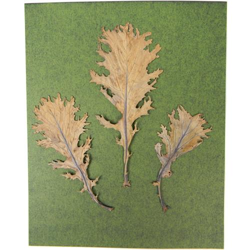 Cyanotype Store Cyanotype Paper