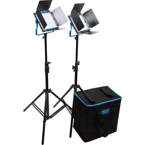 Dracast Silver Series LED500 Daylight 2-Light Kit with Soft Case