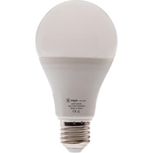 Raya 25W LED Daylight Bulb
