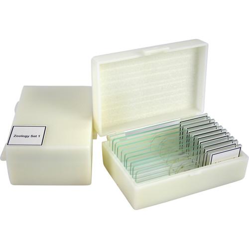 Swift MA803 Zoology 1 Slide Kit
