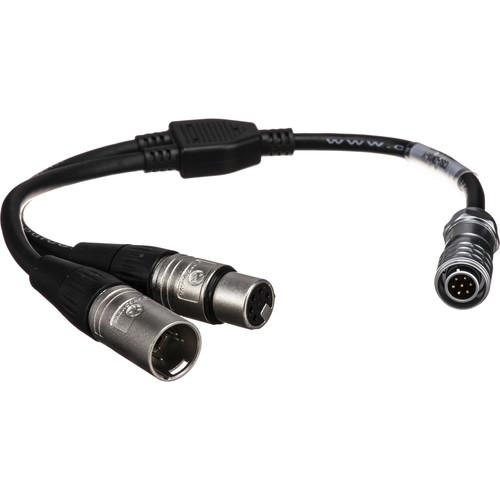 Outsight Creamsource Micro DMX Adapter Y Cable