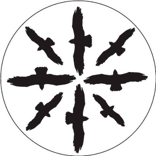 Rosco Circling Birds Silhouette 1 B W Rotating Glass Gobo