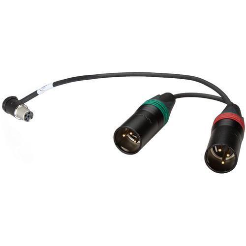 Ambient Recording Receiver Slot V-Mount Chassis with Double 3-Pin XLR Male Connection Cable