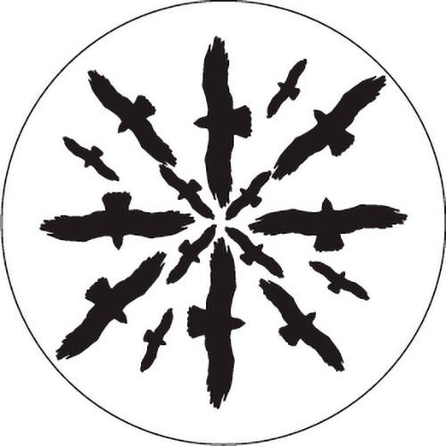 Rosco Circling Birds Silhouette 2 B W Rotating Glass Gobo