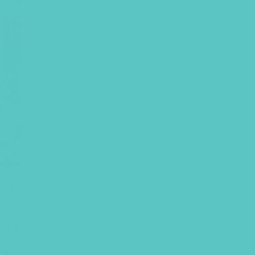 Savage Widetone Seamless Background Paper