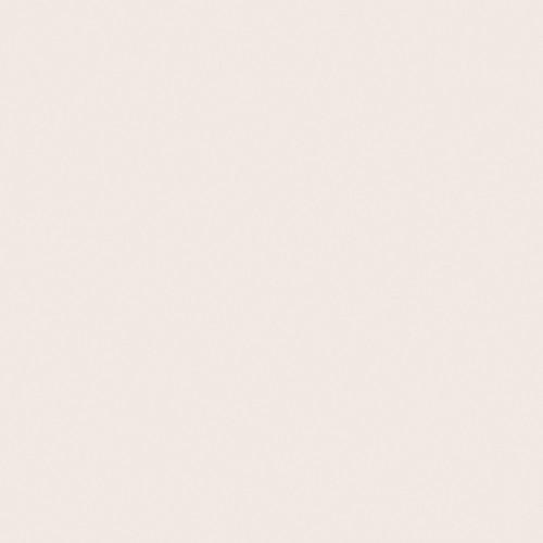 Savage Widetone Seamless Background Paper