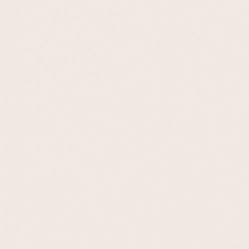 Savage Widetone Seamless Background Paper