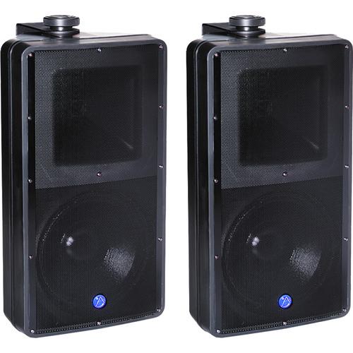Atlas Sound 2-Way SM82T Speaker System