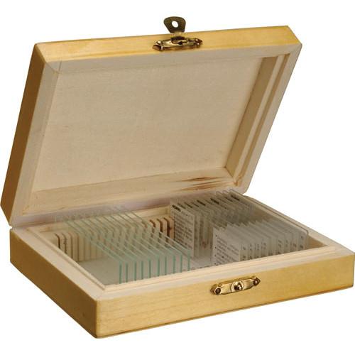 Konus #4886 Biology I Slide Set: Structure of a Plant Cell