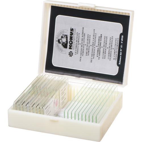 Konus #4910 Biology 2 Slide Set: Normal Human Tissue, Part I