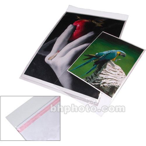 Print File Crystal Clear Art Protector